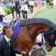 JRA最強良血馬ついに初陣! フランケル×デインドリームの不安要素