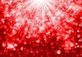 フランケル産駒「真打ち」登場か。シグナライズが新潟新馬でヴェールを脱ぐ