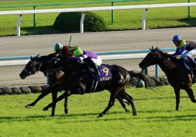 JRA菊花賞「3000m無意味さ」に呆然……最後まで動かないままルメデム劇場に”無抵抗”だった日本人騎手