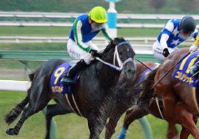 【プロキオンS（G3）展望】武豊マテラスカイがキングズガード連覇を阻む？ 充実目立つ4歳馬が古豪に挑む！