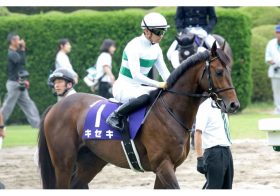 JRA凱旋門賞キセキ「新コンビ」にO.マーフィー騎手!? 「1600～2400の芝カテゴリーでは、日本が世界一」欧州の若き天才が世界制覇に意欲