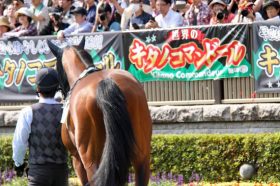 キタノコマンドール屈腱炎発症……以前からの「兆候」とオーナーサイドの事情、そして「血筋」