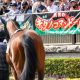 JRAも絶句か……宝塚記念(G1)出走予定馬が「ファン投票上位スカスカ」の地獄絵図、サウンズも回避
