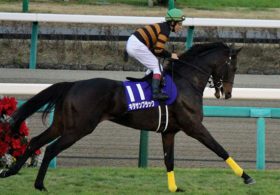 「王者の走り」を見せたキタサンブラックの宝塚記念3着……堂々たる強さで今度こそ「主役」？
