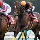 武豊騎手「10戦だけで地方リーディングトップ10入り」も、地方と中央の「格差」と切ない現状を露呈……