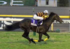 武豊とキタサンブラックを大阪杯（G1）でも”エスコート”!? 重賞制覇で波に乗る「かっ飛び番長」の”選択”は