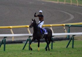 キタサンブラックが大阪杯始動で「春古馬三冠」総取りを狙う！ ライバルサトノダイヤモンドと激突の先にロンシャンの舞台が