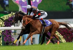 ジャパンCの主役でも「全盛期」はまだまだ先!? キタサンブラックの可能性と成長力、そして種牡馬価値は