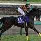 ここが絶好の舞台!? 宝塚記念(G1)で復活期するトーホウジャッカル、鞍上との絆で大物食いなるか!