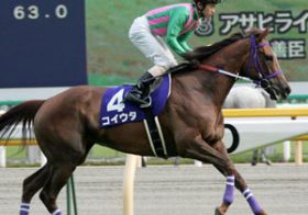 勝利への準備はいいか!? データで導き出されるヴィクトリアマイルの穴馬を一挙公開！