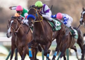 未来の「菊花賞」本命馬!? コマノインパルスが母方から受け継いだ「純ステイヤー」の血脈は弥生賞で通用するか？