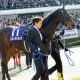 鷲見玲奈アナ競馬番組から需要が増加中!? JRA競馬関係者からも覚えがいい「眉目秀麗」競馬ファンの“女神”が大躍進?