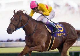 コパノリッキー米国ブリーダーズカップ直行！ その先に見据える壮大な「目標」は？