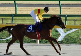 【南部杯（G1）展望】G1・10勝目を狙うコパノリッキーに「新ダート王」ゴールドドリームと「豪脚」カフジテイクが挑む！