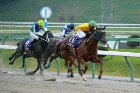 JRA戸崎圭太、福永祐一が地方騎手にボコボコ！ マイルCS南部杯コパノリッキー優勝も見せつけられた明確な差……