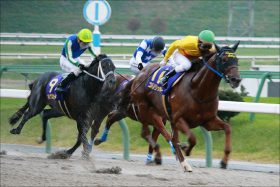 【JBCスプリント展望】「武豊→森泰斗」でコパノリッキーG1「11勝」新記録なるか!? 「ダート替わり」での一撃狙うライバルに注意