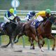 JRA「超豪華天皇賞・秋」にダノンプレミアム勝機あり? 立ち塞がる「歴戦の古馬勢」
