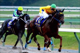 【東京大賞典（G1）展望】北島三郎・キタサンブラックの次はDr.コパ・コパノリッキー!? 「引退馬大活躍」で夢の「G1・11勝」確定か