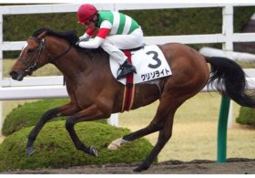 帝王賞でクリソライトが「大記録」に挑む！ 妹マリアライトの勢いに乗って逆境打破か