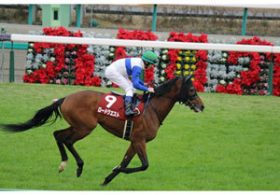 【徹底考察】スプリングS（G2） ロードクエスト「正当評価される頃には、後のマツリダ!?」