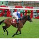 今年のスプリングS(G2)が実は名馬誕生の年!? 勝ち馬が「皐月賞で馬券圏内」&「G1馬確定」となる”明”と”暗”の法則とは