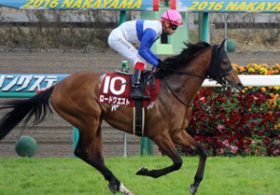 「日米最強女王」と「岩手の女王」の頂上決戦・皐月賞（G1）……逆襲の異端児ロードクエストの反撃