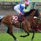 過去には15番人気激走で162万円馬券も飛び出した!必見の皐月賞穴馬データを特別公開!