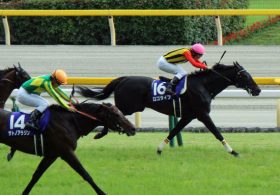 安田記念にファンはロゴタイプ称賛一色！ 「7歳でも全盛期」驚異的な能力維持にサトノアラジンが霞む