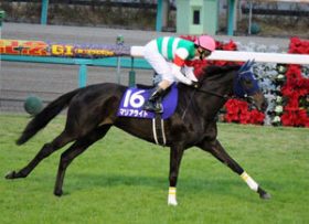 【G1回顧・宝塚記念】女傑マリアライトが制した春のグランプリ！2着ドゥラメンテは「引退か」レース後に下馬のアクシデント