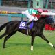 【G1回顧・宝塚記念】女傑マリアライトが制した春のグランプリ!2着ドゥラメンテは「引退か」レース後に下馬のアクシデント