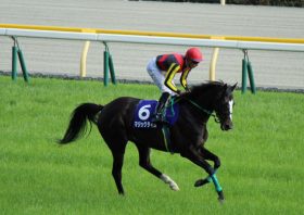 「壁」を破れるか!? マイルCS隠れた実力馬マジックタイムの「成長曲線」と「不安要素」