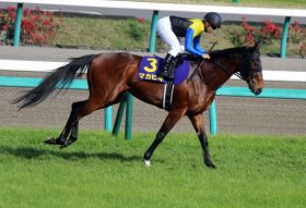 【京都記念（G2）展望】マカヒキ×ムーアが「現役最強」に向け再始動！ 世界王者を倒した”猛者”に伸び盛りの”新鋭”も集う「スーパーG2」を制するのは……