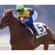 【徹底考察】阪神大賞典(G2) トーホウジャッカル「『3分間の奇跡』を再び見せる時がやってきた」