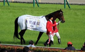 マカヒキも大阪杯（G1）に参戦！ キタサンブラック、サトノダイヤモンドの「いきなり頂上決戦」可能性も、問題は「今後」と「天皇賞」？