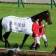凱旋門賞の記憶~2012・2013オルフェーヴル~ 果敢なる2度の挑戦。勝利を確信した1年目、欧州の力に屈した2年目