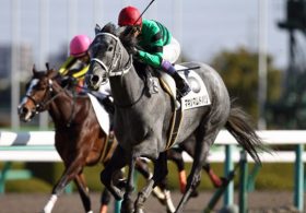 京都での抜群の安定感と「サイン」、武豊騎手も後押し!? エリザべス女王杯の伏兵マキシマムドパリに熱視線