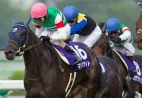 【徹底考察】有馬記念（G1） マリアライト「昨年は大外枠から惜しい4着。宝塚記念のような『真価』を発揮するために必要な『爆薬』の存在とは」