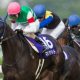 【徹底考察】有馬記念(G1)ゴールドアクター「マツリダゴッホ以来の中山非根幹専用機!グランプリ連覇には「人馬の絆」が必要不可欠!?」