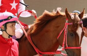 武豊マテラスカイ次走決定！「JBCスプリント制覇」へ前哨戦も楽勝？