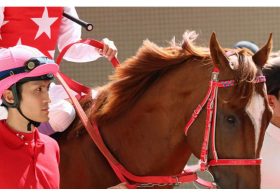 武豊マテラスカイ「大阪杯」蹴って勝算アリ!?　ドバイゴールデンシャヒーン（G1）で昨年5着以上が狙える理由