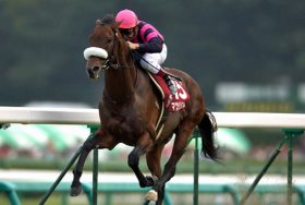 「時代遅れの血筋」に「日本で勝ち切れない欧州種牡馬」を次々と覚醒させるマツリダゴッホは、やはり「狂気の天才芸術家」なのか……競馬界の鬼才がサラブレッド生産の常識を覆す