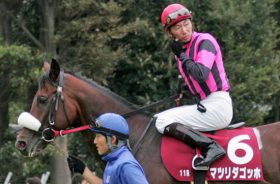 有馬記念と重賞の「穴馬データ」を公開！ 朝日杯FSは12番人気の激走馬をズバリ指名！