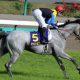 重賞穴馬データ~セントライト記念・ローズS~