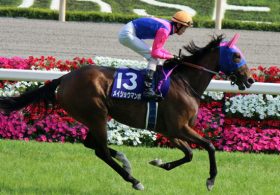 メイショウマンボついに引退へ！ 「18連続惨敗」もG1競走3勝の栄光は消えず、ラストランの勇姿に期待