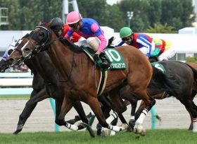 【クイーンS（G3）展望】オークス2着馬チェッキーノ＆超良血馬ロッテンマイヤーが始動！負けられない古馬陣も豪華メンバーが集結