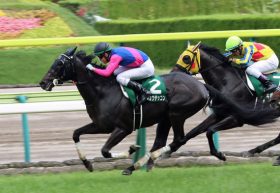 武豊「良くなったわ」メイショウテッコンが日経賞（G2）で開花!? ライバル手薄でチャンスはある