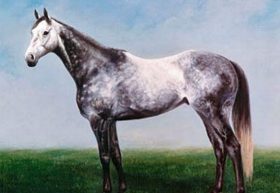 天才・武豊と帝王・岡部幸雄の意地がぶつかり合った「天と地」の決戦。天皇賞・春（G1）に25年の時を経て再び訪れた「世紀の対決」