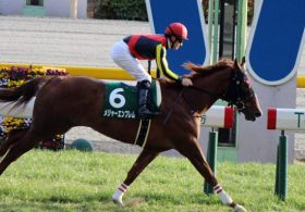 【2016上半期プレイバック】3歳牝馬編「史上まれに見るハイレベルな争いとなった『3強対決』決着は秋の秋華賞へ」
