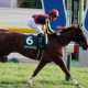 これじゃ「G3」!? 秋華賞(G1)大本命シンハライトが故障で回避……一気に混戦ムードも、レースの中心に「信頼なし」?