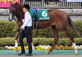 【徹底考察】桜花賞（G1）メジャーエンブレム 最強女王に「死角」あり。弱点は「最後の直線」に隠されている!?